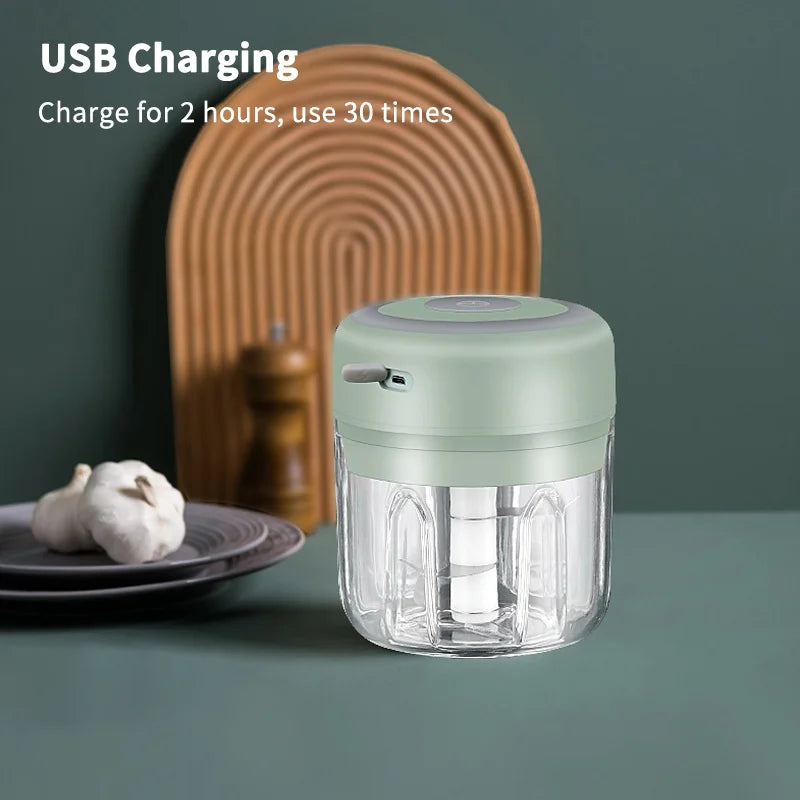 Electric Meat Grinder & Garlic Crusher – Mini USB Food Chopper